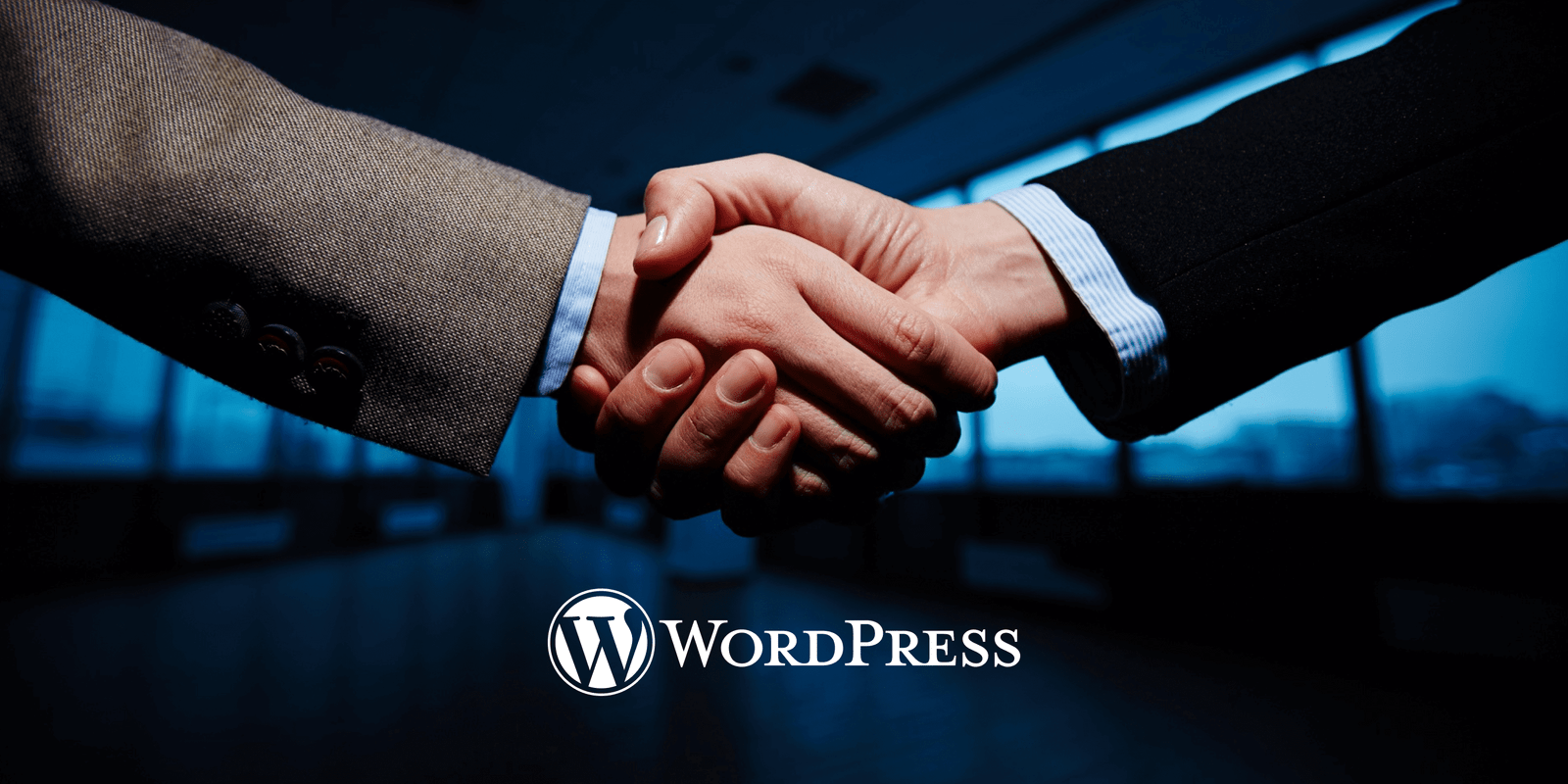 Questions to Ask Your WordPress Developer for a Successful Partnership